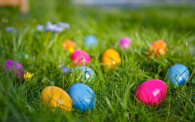 Voorkom eieren na Pasen: 5 contractvalkuilen voor ondernemers